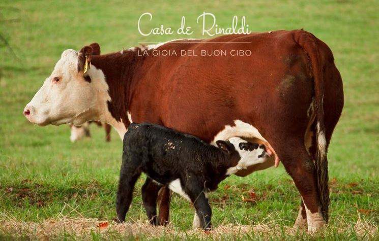 Casa De Rinaldi - Cos'è e perchè preferiamo il latte nobile?